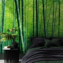 Papel Tapiz Bosque de Bamboo