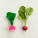 Oli &amp; Carol Mordedor Ramona the Radish