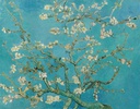 Papel Tapiz  - Van Gogh  Flor de Almendro