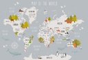 Papel Tapiz  - Mapa con Animales y Bosques