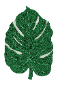 Alfombra Lavable Monstera Leaf